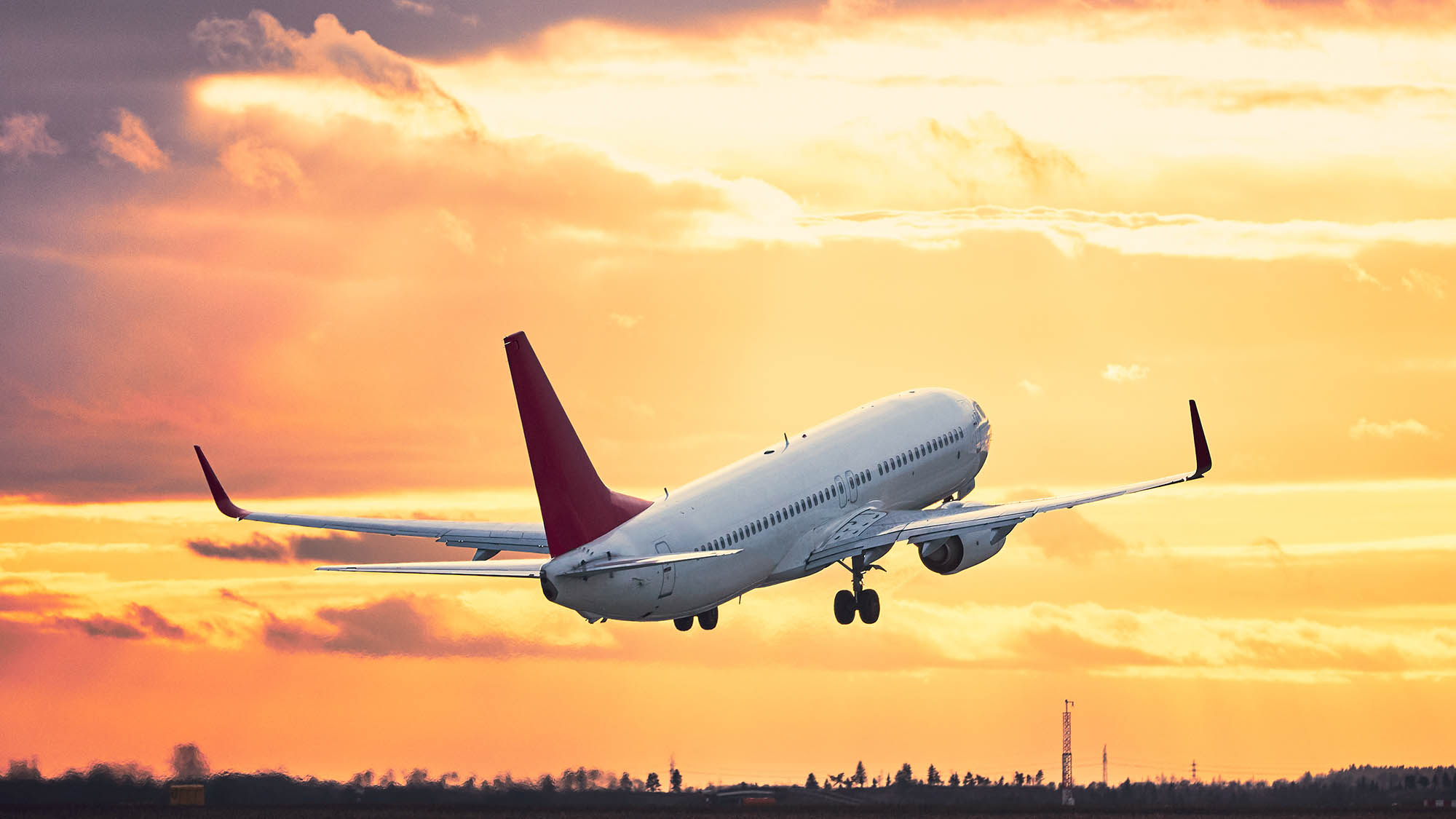 Fy, fly – skamme seg