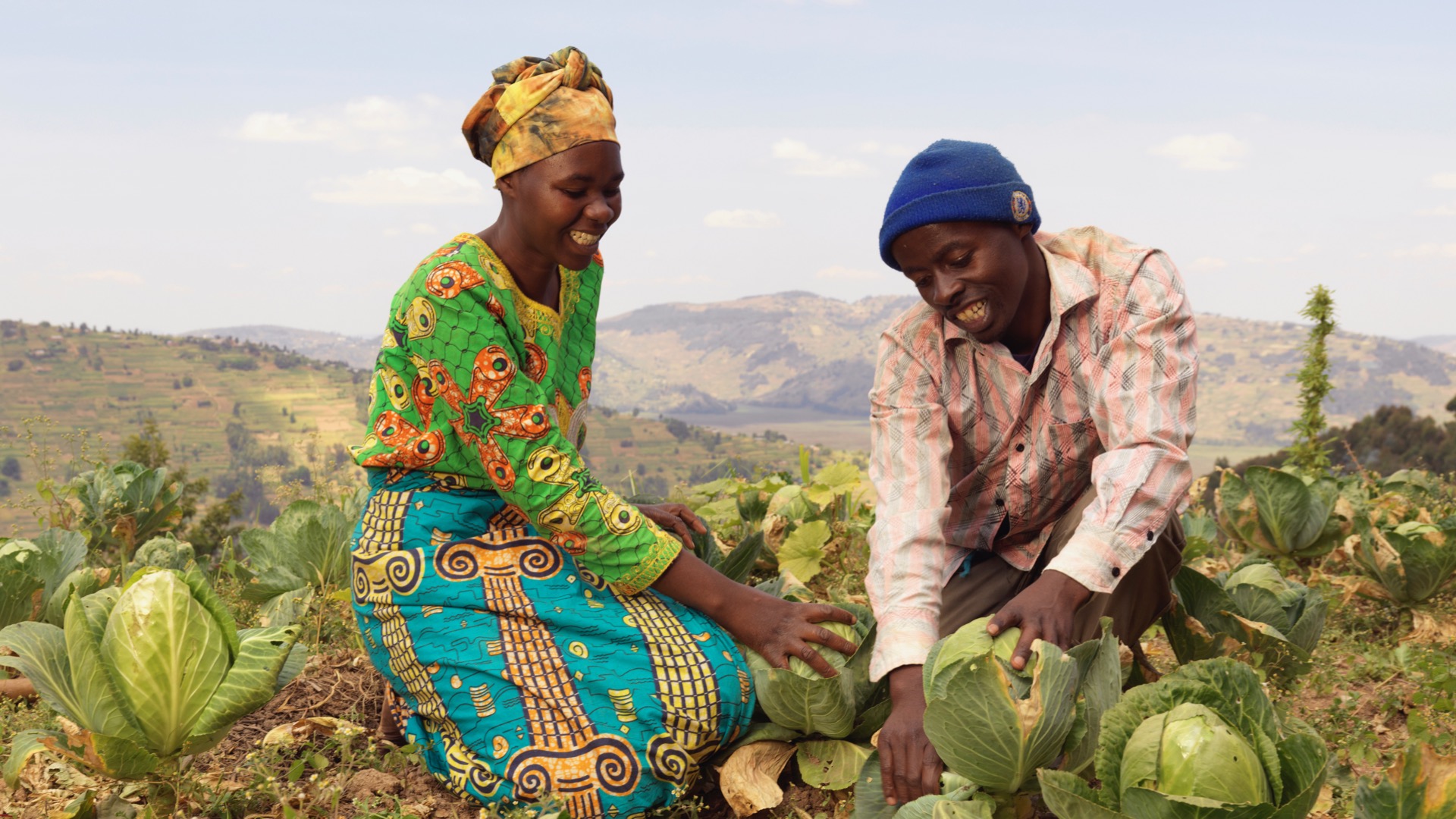 The Sustainable Development Goals