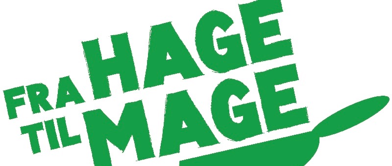 Summer activities for children and youth