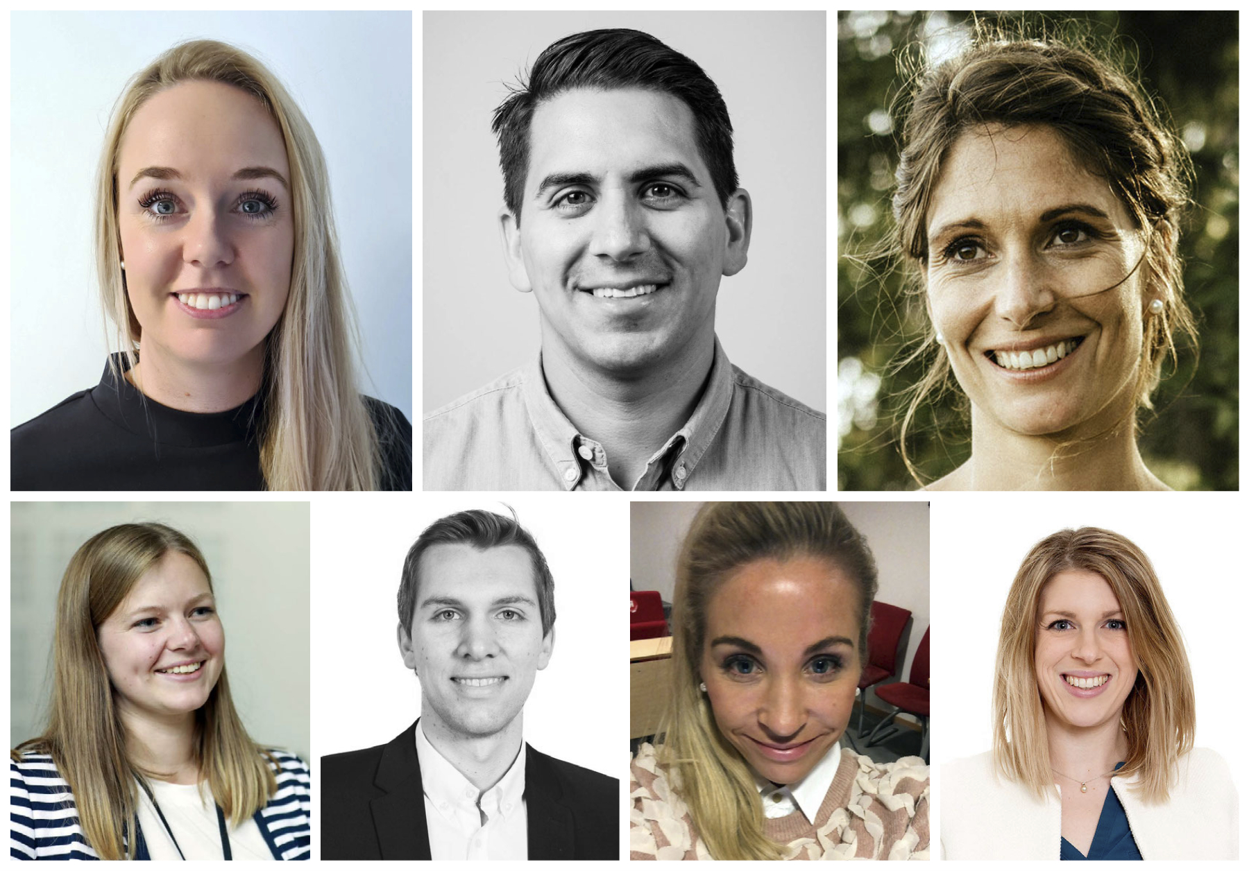 Årets styrekandidater