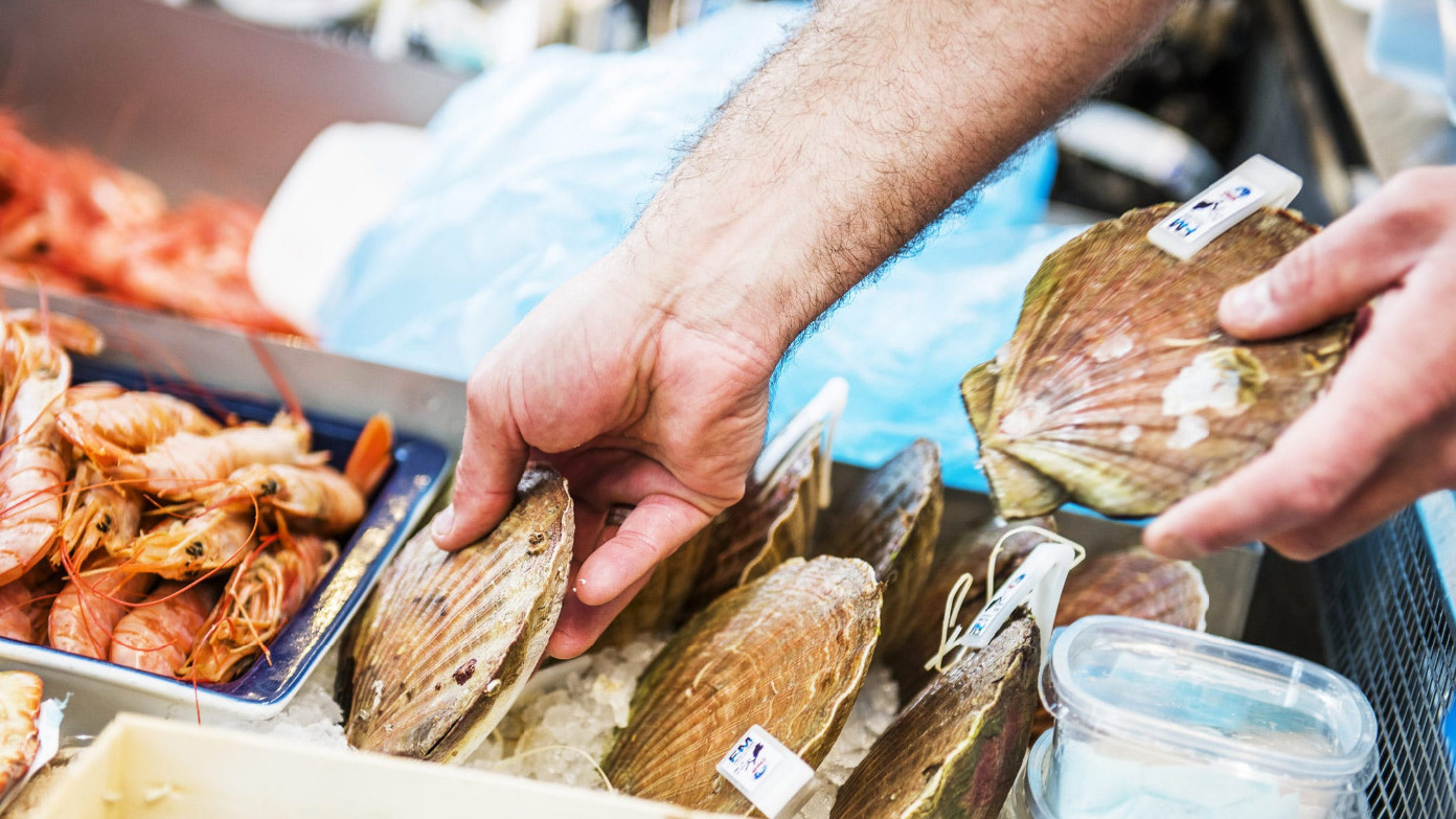 Get to know Stavanger