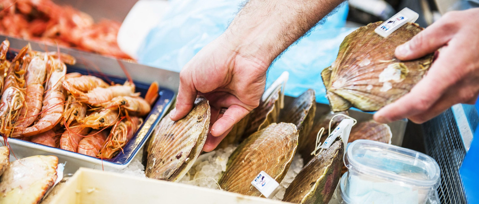 Get to know Stavanger: The Fish Market