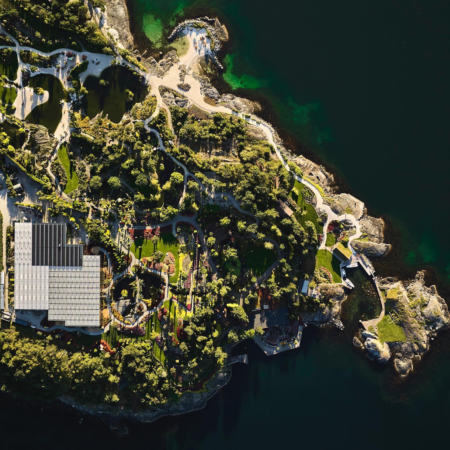 Palmeøy i grønn omstilling