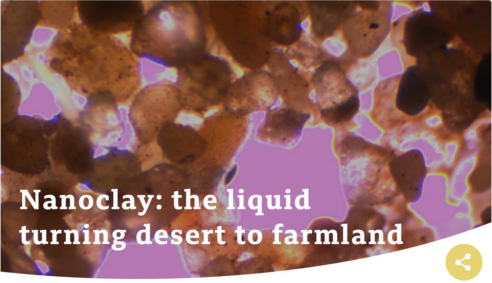 Dyrker mat i ørkenen under Covid-19