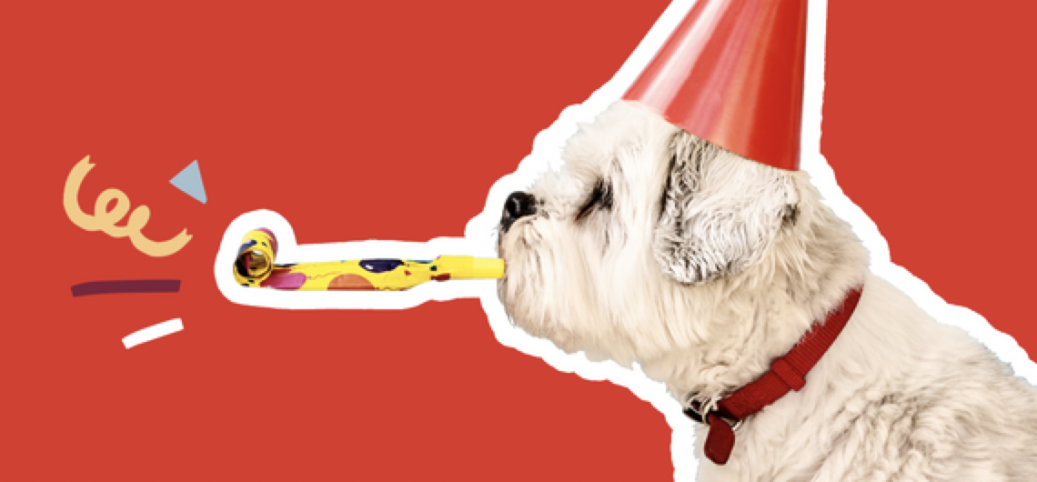 Altibox har Norges mest fornøyde kunder